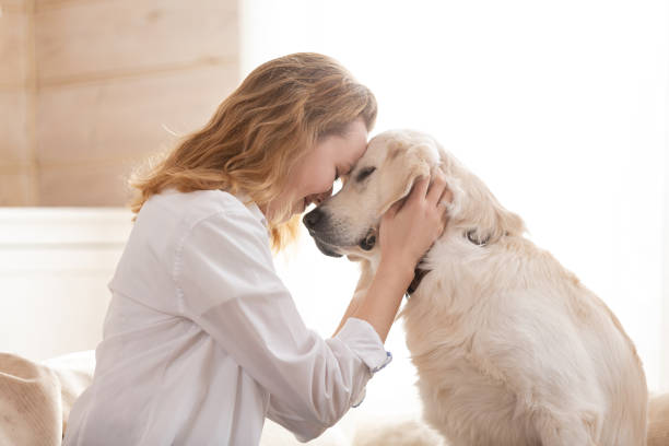 woman hugging her beloved big white dog. Animal communication concept Young pretty woman in casual clothes hugging her beloved big white dog sitting on the sofa in the living room of her cozy country house. Animal communication concept pet owner photos stock pictures, royalty-free photos & images