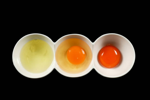 Raw eggs. Separated yolk from white in bowl isolated on black background