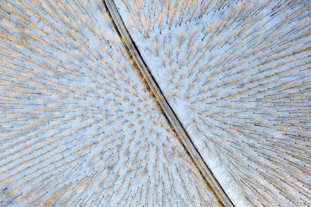 danger of glaze ice on country road through forest after outbreatk of winter on a sunny day  weather and climate transport theme