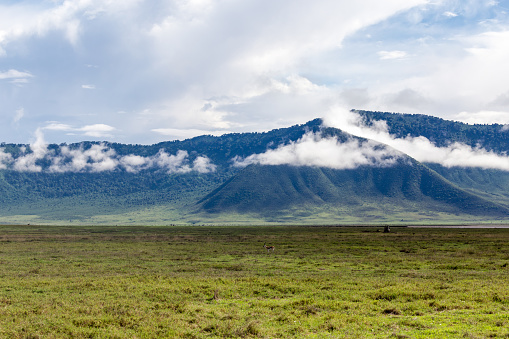 The Ngorongoro Crater Conservation Area in Tanzania