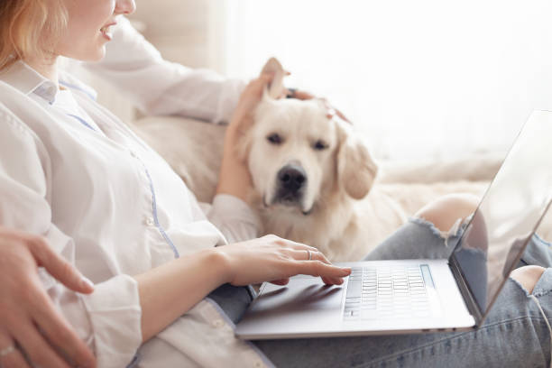 istock Young married couple using a laptop next to their beloved dog 1204836487