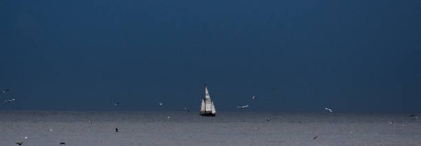 istock Lonely boat with seagulls flying 1204836516