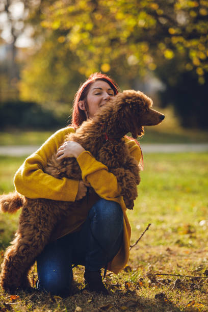 istock My best friend is not a human being 1204839267