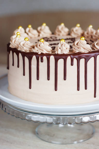 istock Male, Stylish, Chocolate Cake with Fudge Drizzled Icing and Curls 1204839577