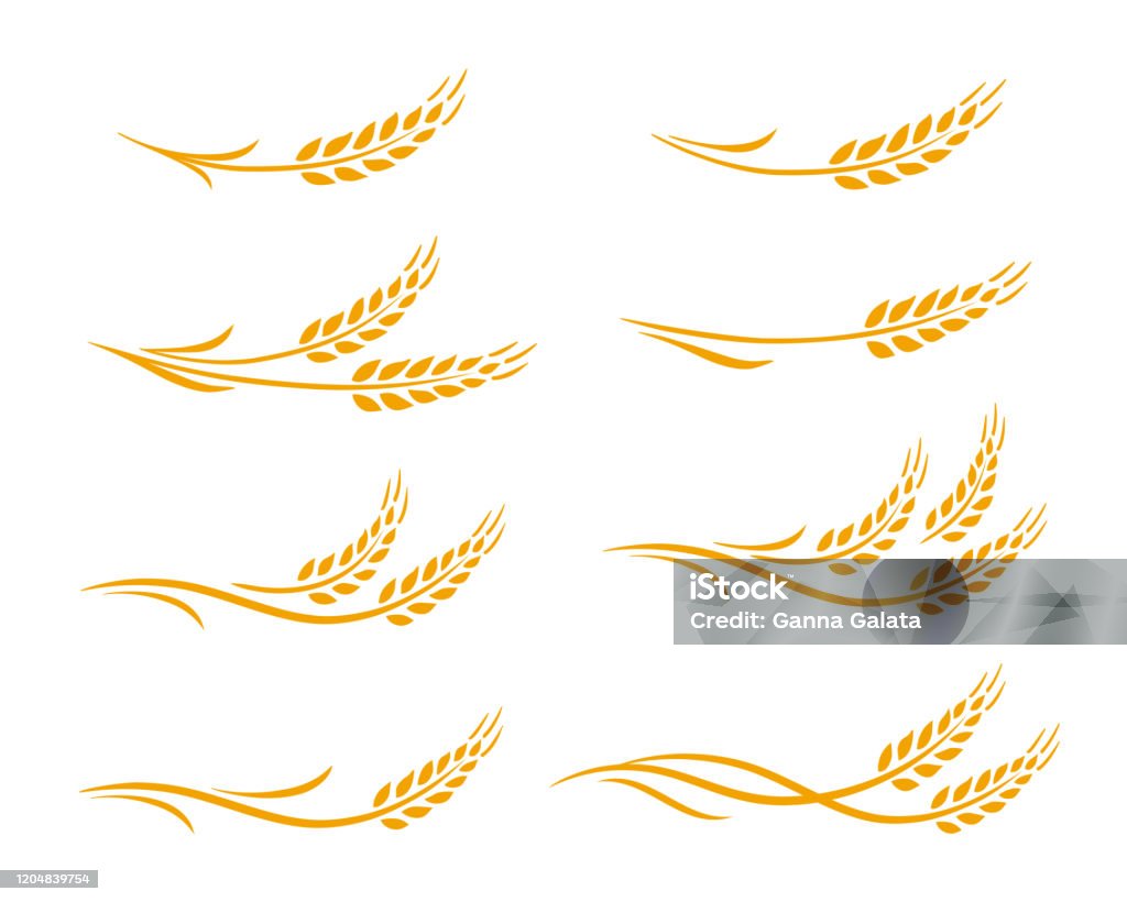 orecchie di grano e punte di avena icone set - arte vettoriale royalty-free di Grano - Graminacee