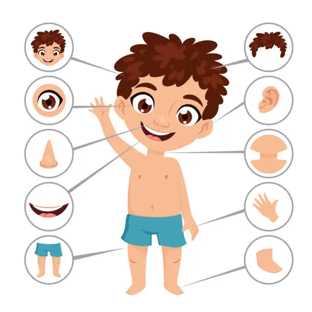 Vector illustration of Preschool educational banner with young boy anatomy