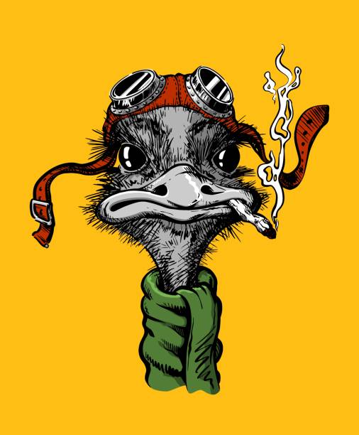 istock Ostrich pilot, isolated, in bright color hand-drawn, with a feather on a yellow background. With big eyes in the pilot's glasses, with a green scarf in retro style. 1204848100