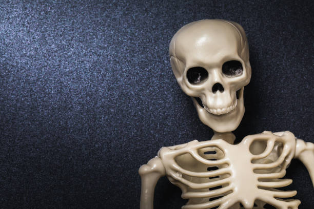 istock Human skeleton on black background with copy space, top view 1204849291