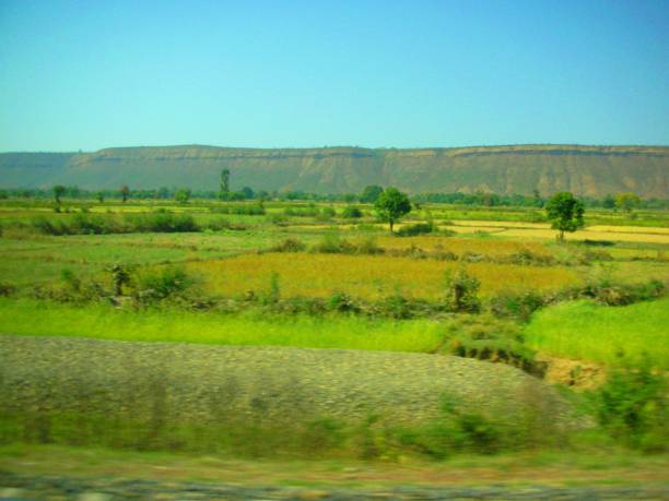 istock An agricultural field in india 1204854179
