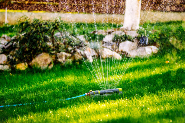 istock Gardening details close up- automatic lawn watering system with pop-up sprinklers 1204858930