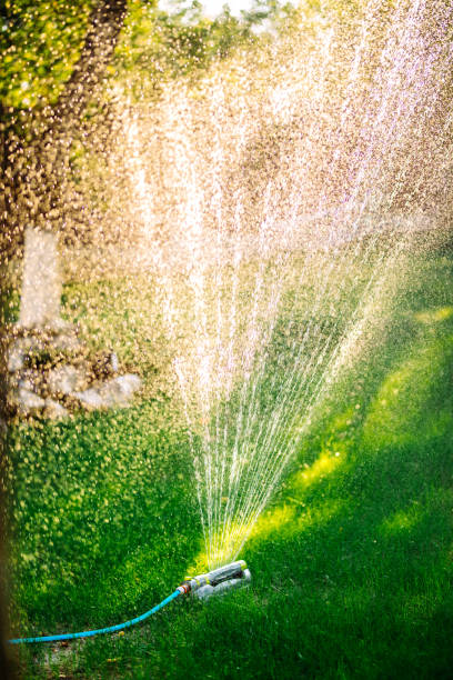 Irrigation after prolonged drought is necessary for field and garden