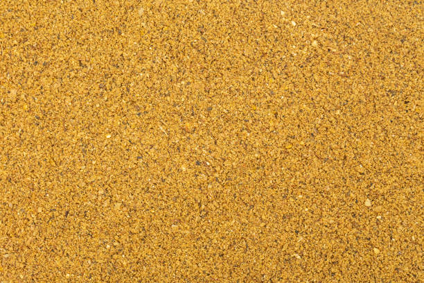 istock Dry food for catching river fish. 1204859383