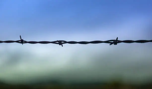 Photo of barbed wire agains a blue sky