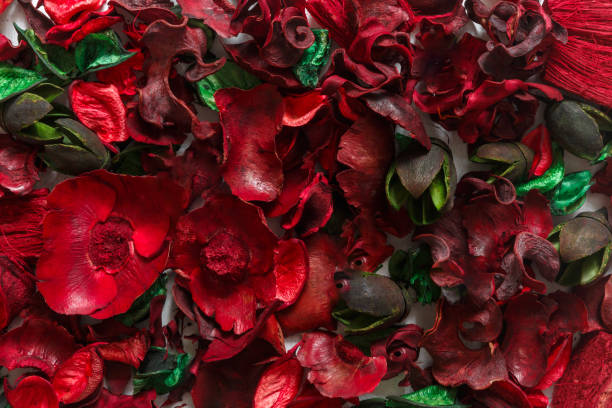 istock Floral spring flat lay background. Petals poses, floral visual, full bloom, vivid flowerscape, live wall, Flower letters, Multicolored flowers, thriving, teeming,spring time 1204862429