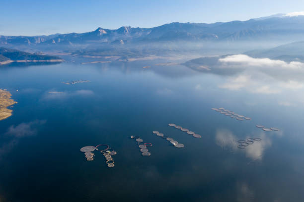 istock Aerial view of fish farm 1204862528