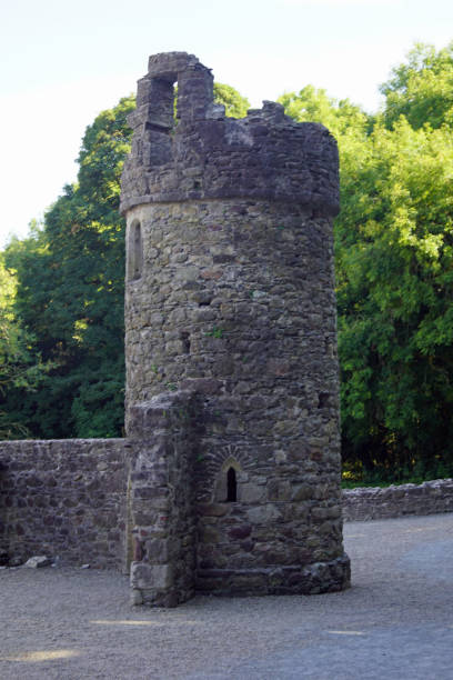 istock Tintern Abbey Ireland 1204863050