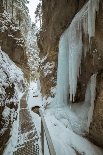 istock A hiking trail in winter in the mountains 1204863234