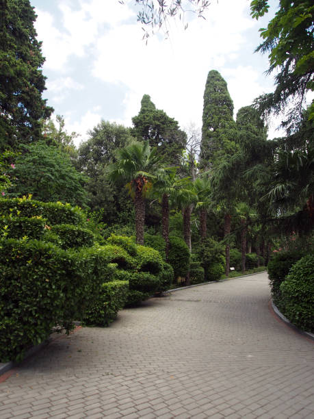 istock Concept of design solutions for Park and garden areas. 1204863276