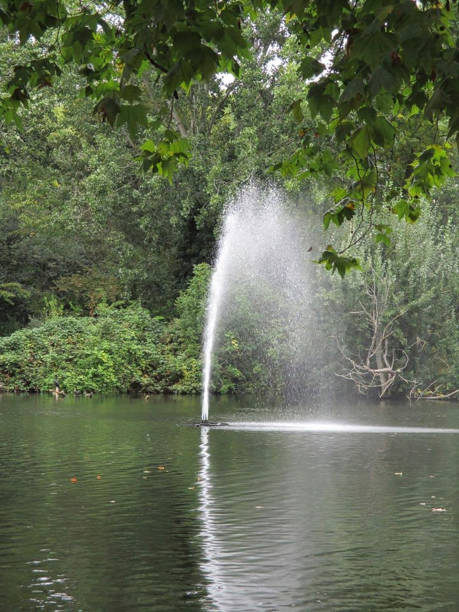 istock a fountain in the midde of a park 1204863852