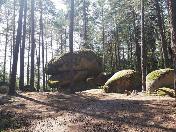 istock big stones in the forest 1204863948