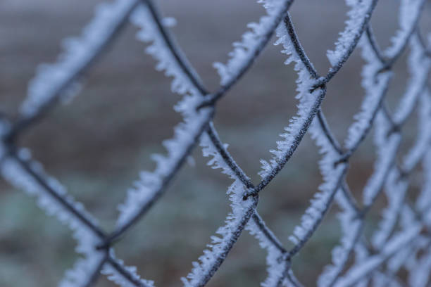 istock Hoarfrost and icing on the mesh fence 1204864739