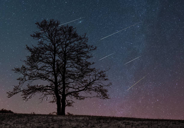 istock Meteors in the night sky 1204865360