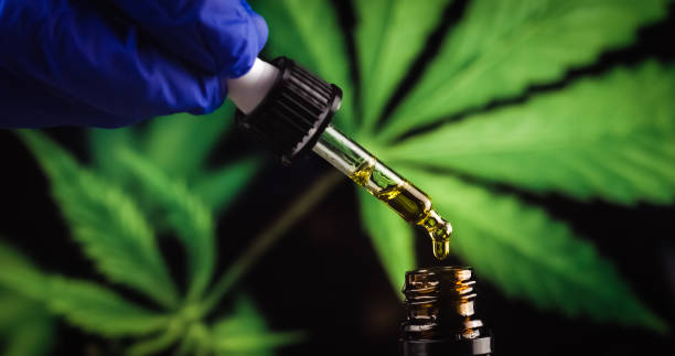 cbd麻油を調べる科学者の手 - medical marijuana ストックフォトと画像