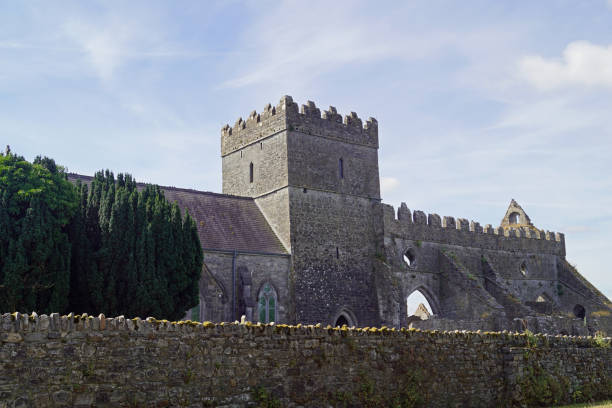 istock St  Marys Collegiate Church Gowran 1204866852