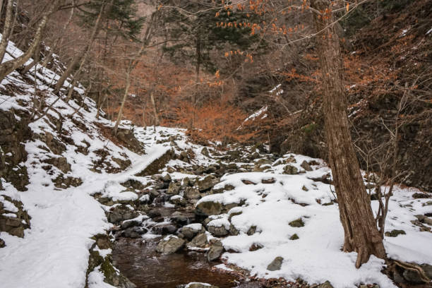 istock Trekking the snowy mountains for beautiful waterfalls 1204869642