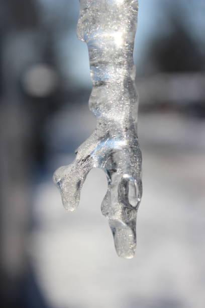 ghiacciolo di cristallo su sfondo bianco - frost ice crystal winter macro foto e immagini stock