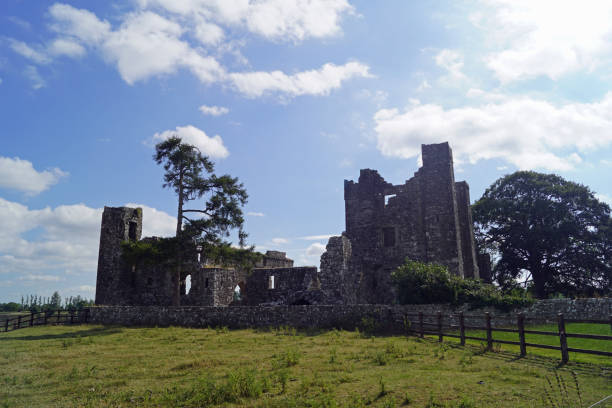istock Bective Abbey in the County Meath 1204876773