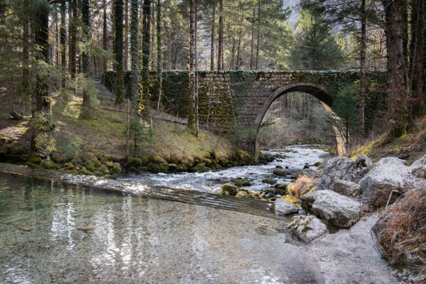 istock beautiful source of kamniska bistrica, slovenia, with a bridge 1204877868