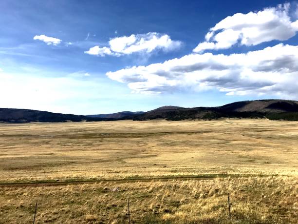istock Valle Caldera National Park, NM 1204877923