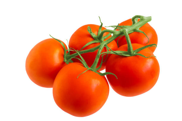 istock Red tomatoes hang on the branch. All on a white background. 1204879042