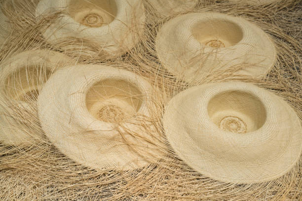 istock Production line of Ecuadorian hats on table 1204880695