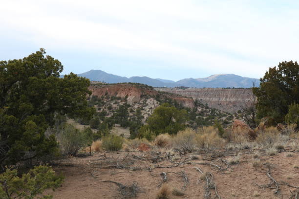 istock Mesas and mountains in NM 1204883450