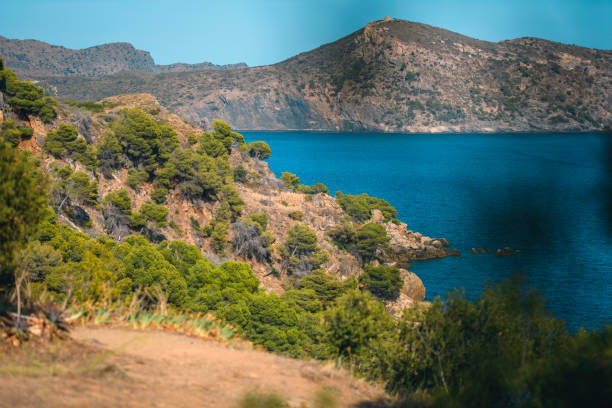 Personal perspective through foreground foliage of Mediterranean Sea and the Costa Brava in late summer.