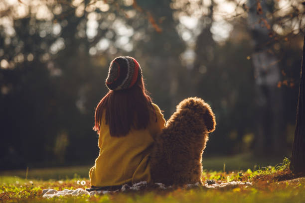 istock The best plan is sitting down together in a park 1204888220