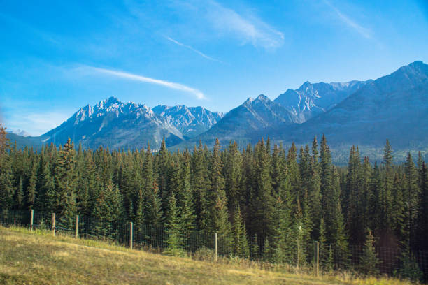 istock View of the Rocky Mountains 1204888465