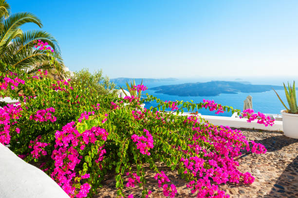 Wanderlust travel and vacation at natural view scene background tourist residence and housing resort at Oia village, Santorini,Greec