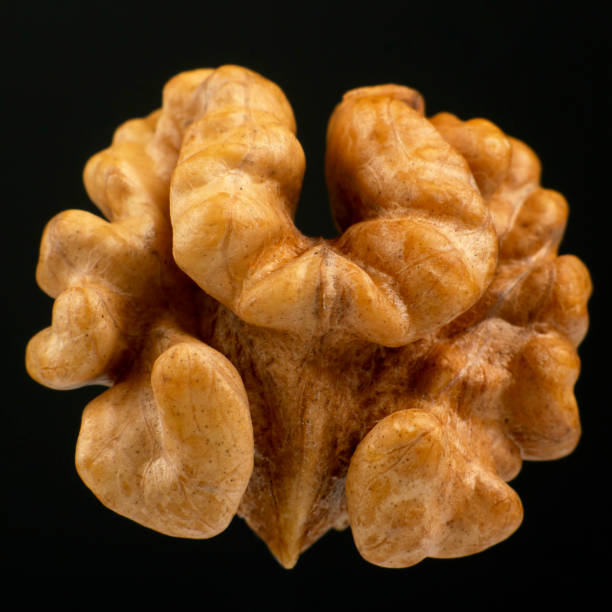 istock walnut closeup on a black background. Healthy and protein food 1204889244