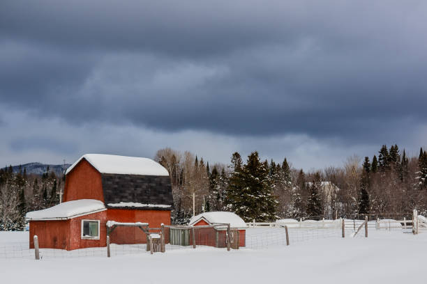 istock Snow covered Red Barn in Winter time 1204889290