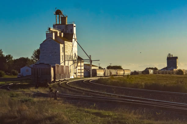 istock Prairie elevator and grain bin in a field of wheat 1204889726