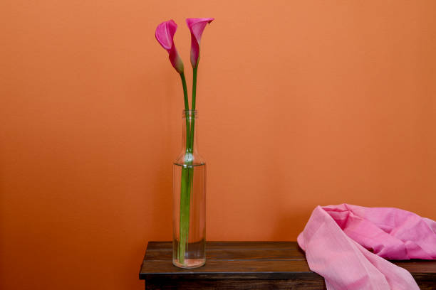 istock calla in the glass bottle 1204890880