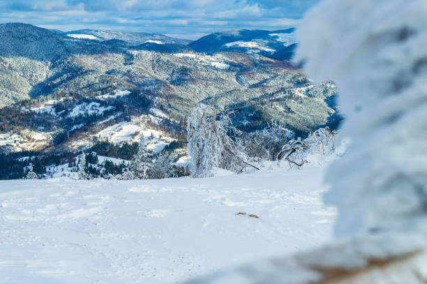 View of Carpathian mountains through a fence
