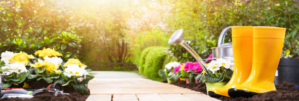 istock Gardening Tools Set And Flowers 1204893829