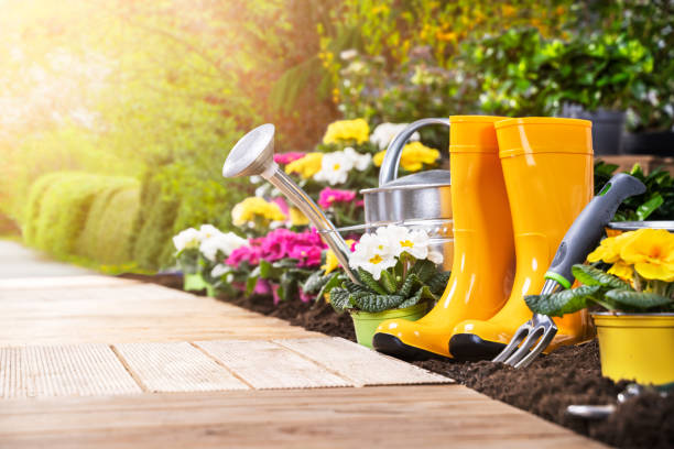istock Gardening Tools Set And Flowers 1204893843