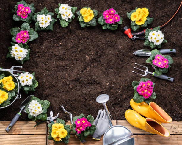 istock Gardening Tools And Flowerpots In Garden 1204893859