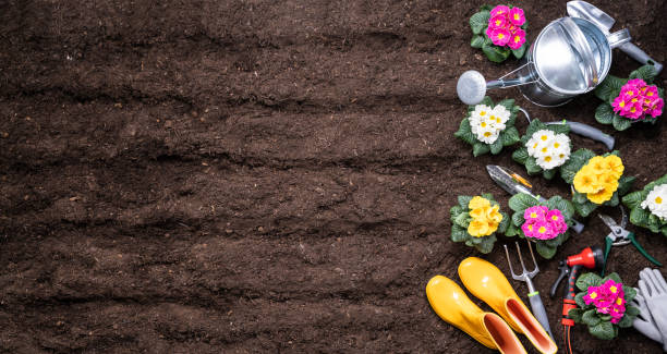 istock Gardening Tools And Flowerpots In Garden 1204893865