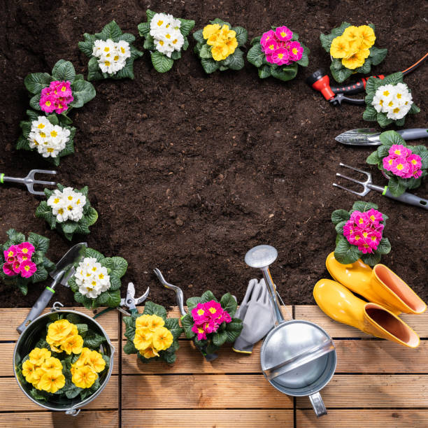 istock Gardening Tools And Flowerpots In Garden 1204893867